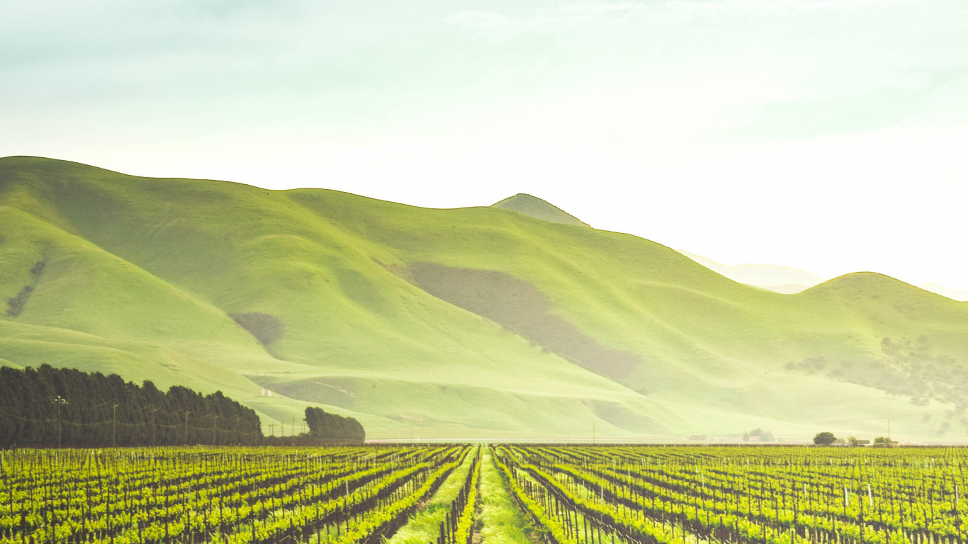 Agriculture, Regenerative Agriculture, Agricultural Land, Organic Farming, Farm. Wallpaper in 1366x768 Resolution