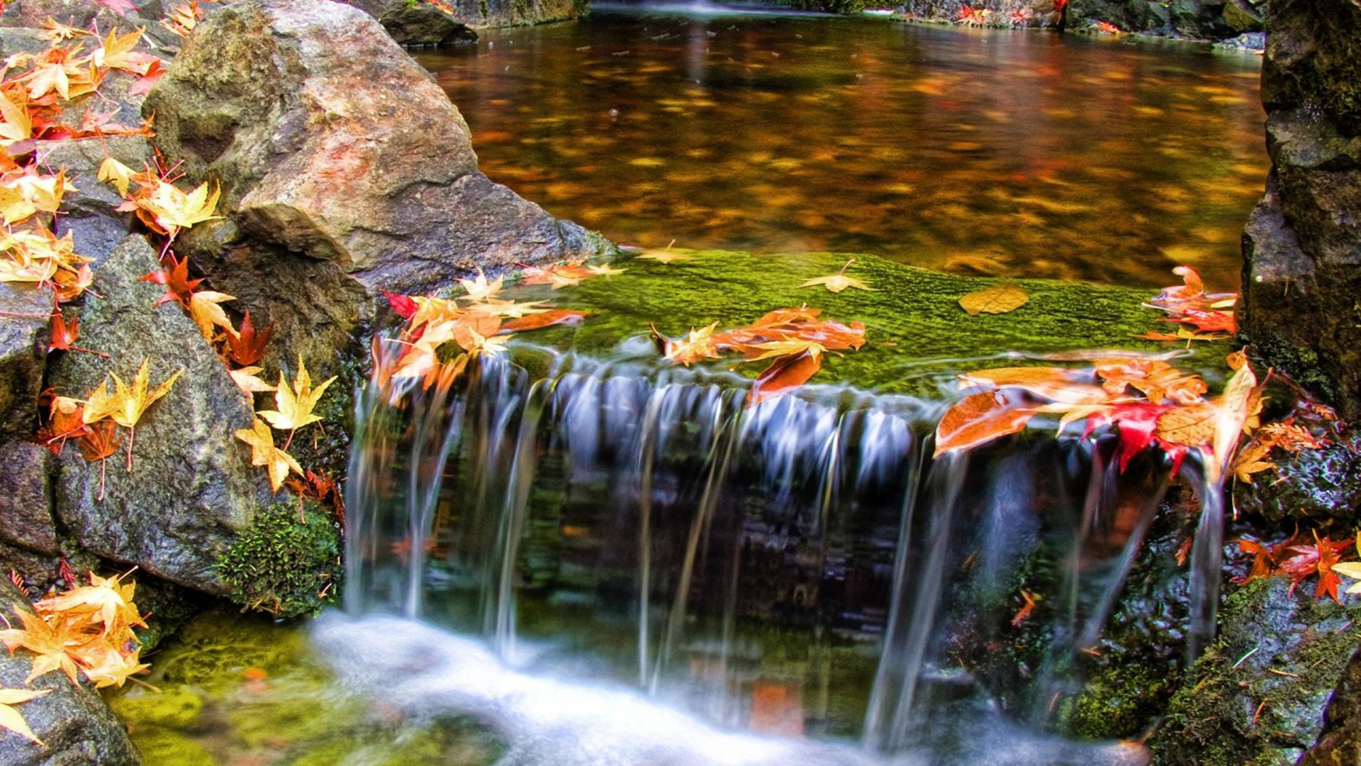 L'eau Tombe Avec Des Feuilles D'oranger au Sol. Wallpaper in 1920x1080 Resolution