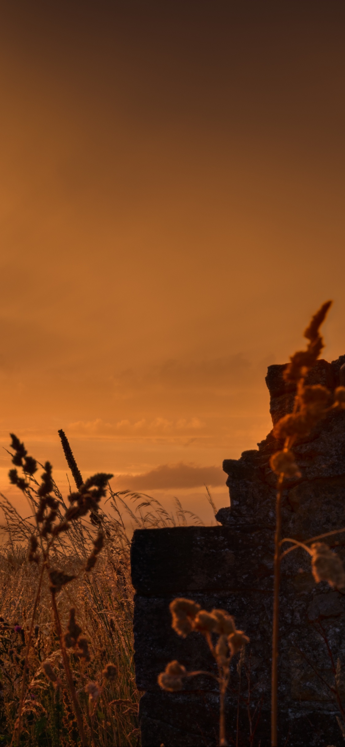 Natur, Naturlandschaft, Sonnenuntergang, Sonnenaufgang, Cloud. Wallpaper in 1125x2436 Resolution