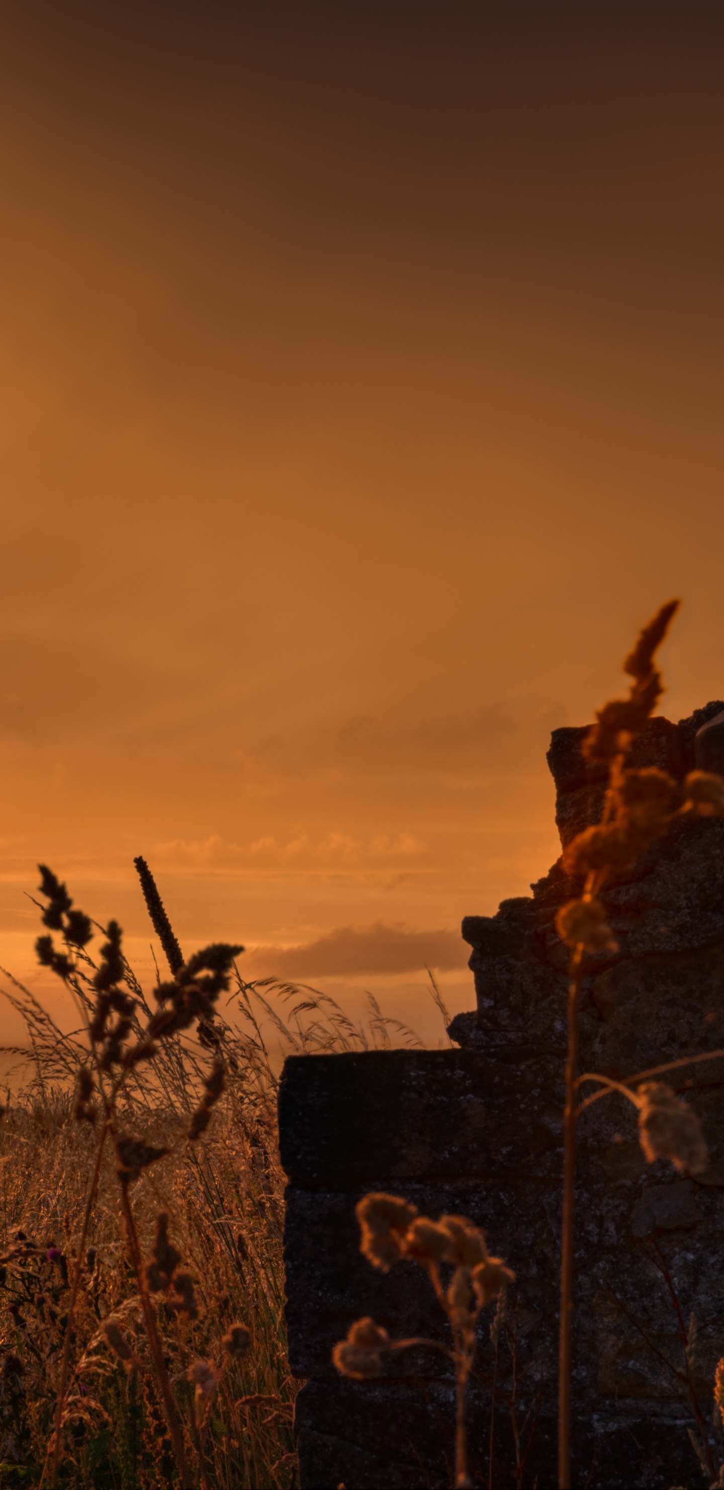 Natur, Naturlandschaft, Sonnenuntergang, Sonnenaufgang, Cloud. Wallpaper in 1440x2960 Resolution