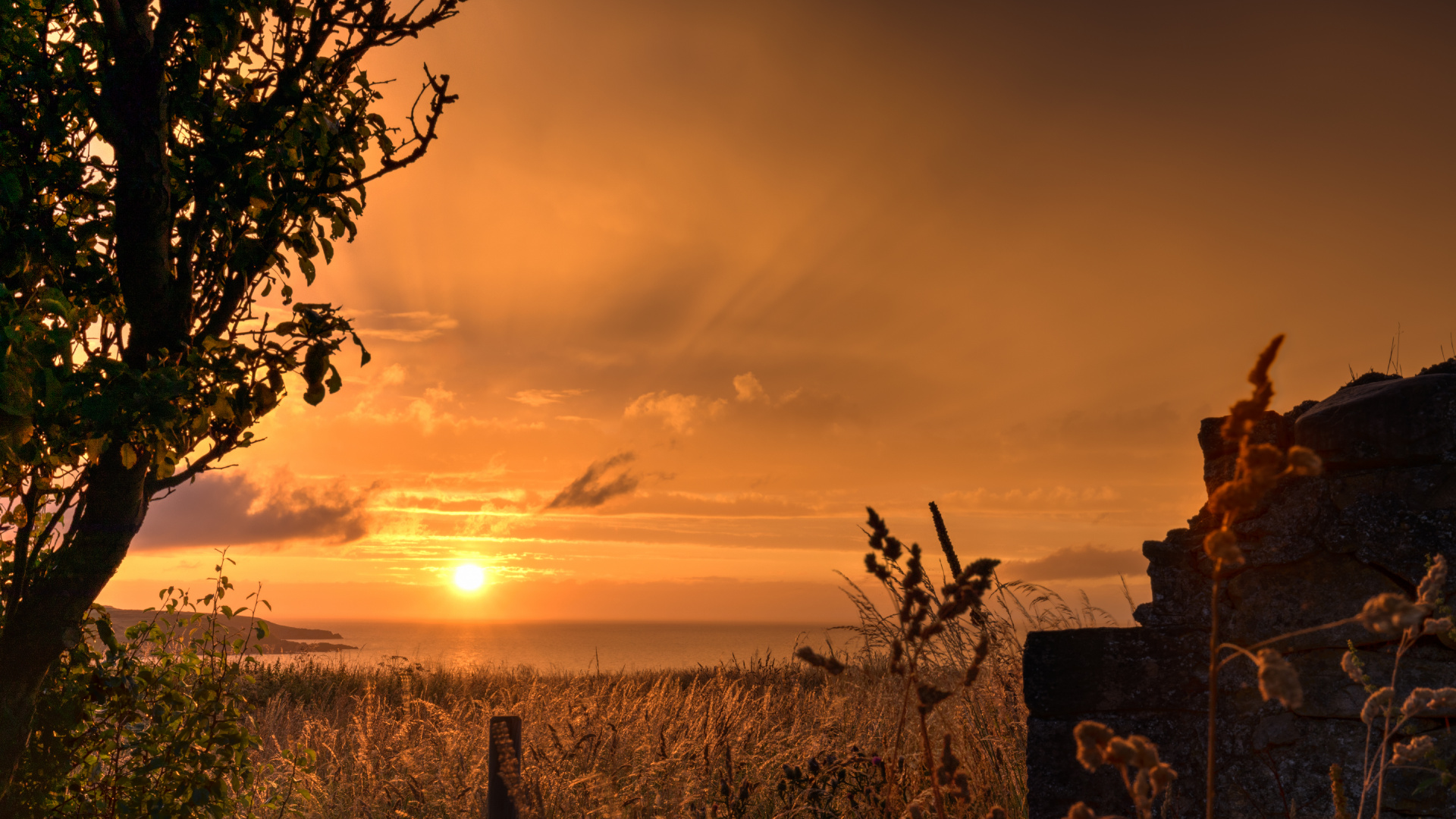 Natur, Naturlandschaft, Sonnenuntergang, Sonnenaufgang, Cloud. Wallpaper in 1920x1080 Resolution