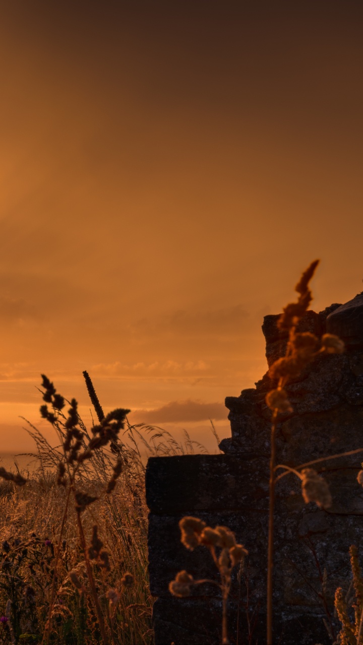 Nature, Paysage Naturel, Lever, Afterglow, Soir. Wallpaper in 720x1280 Resolution