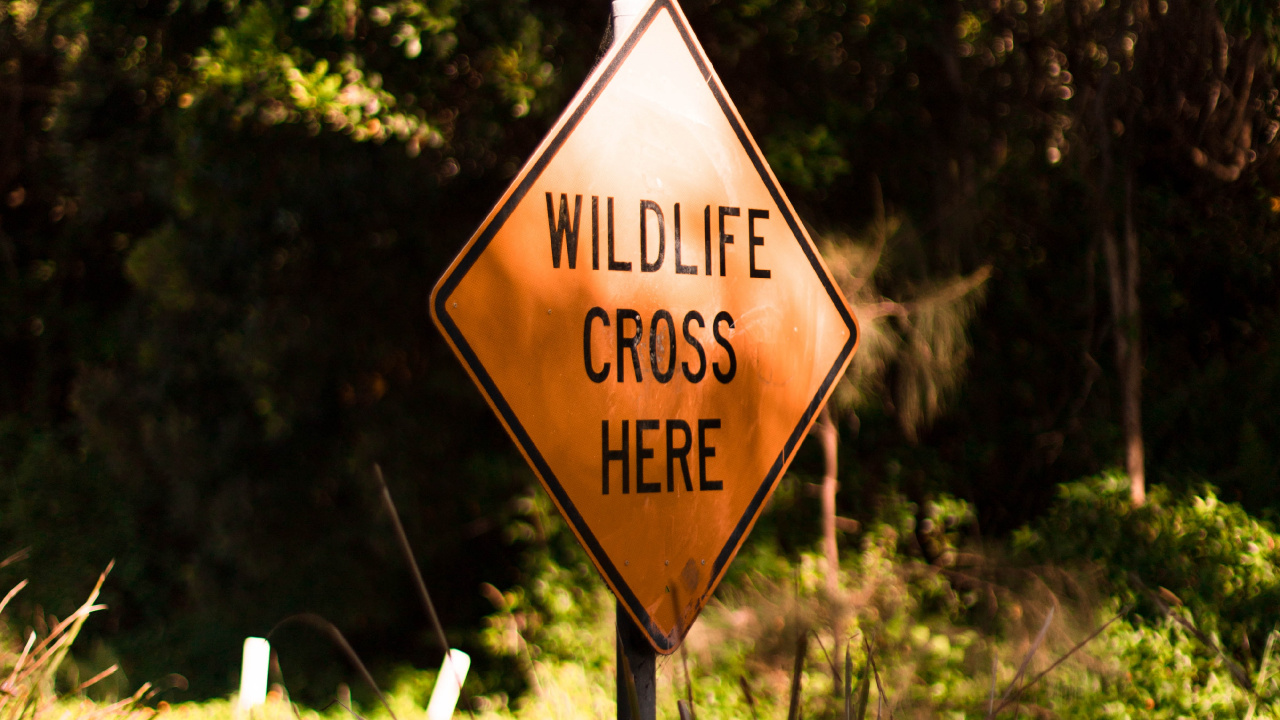 Brown and White Road Sign. Wallpaper in 1280x720 Resolution