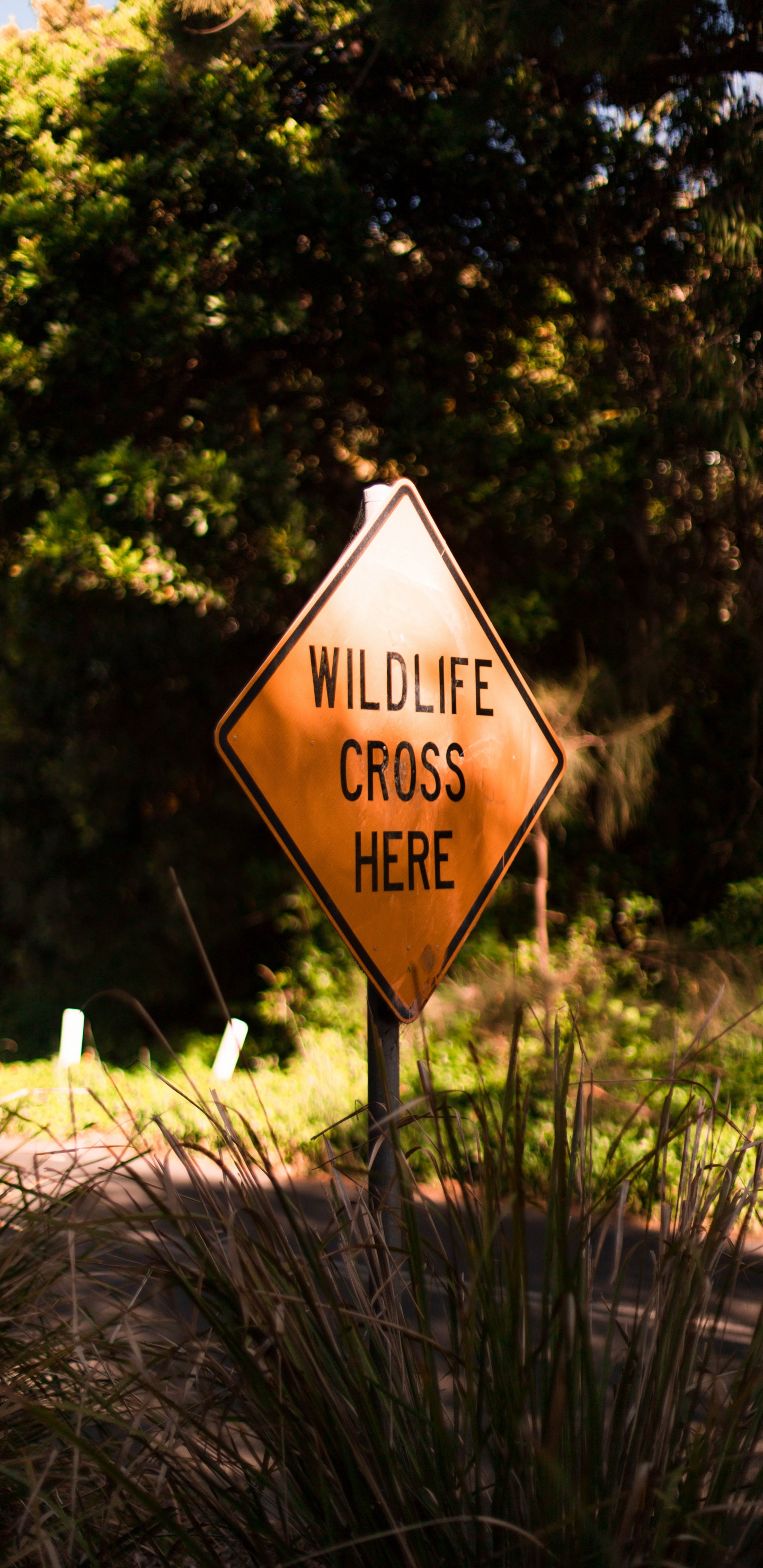 Brown and White Road Sign. Wallpaper in 1440x2960 Resolution