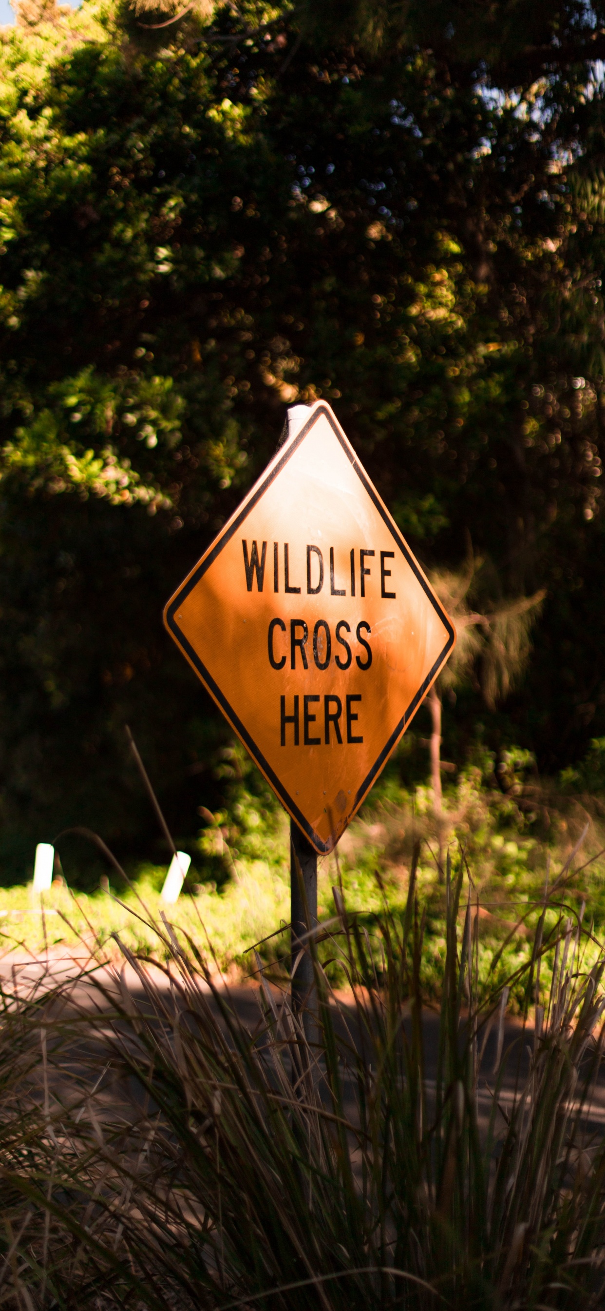 Panneau de Signalisation Marron et Blanc. Wallpaper in 1242x2688 Resolution