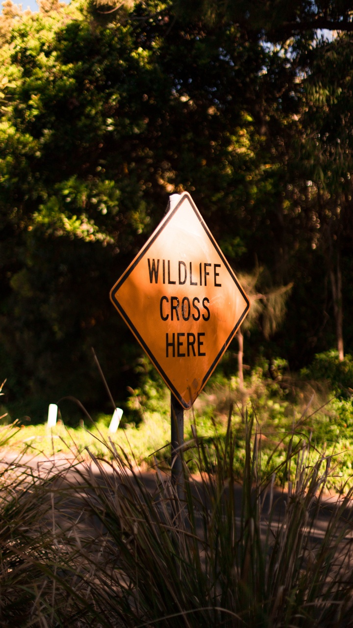 图形设计, 通信, 标志, 性质, 草 壁纸 720x1280 允许