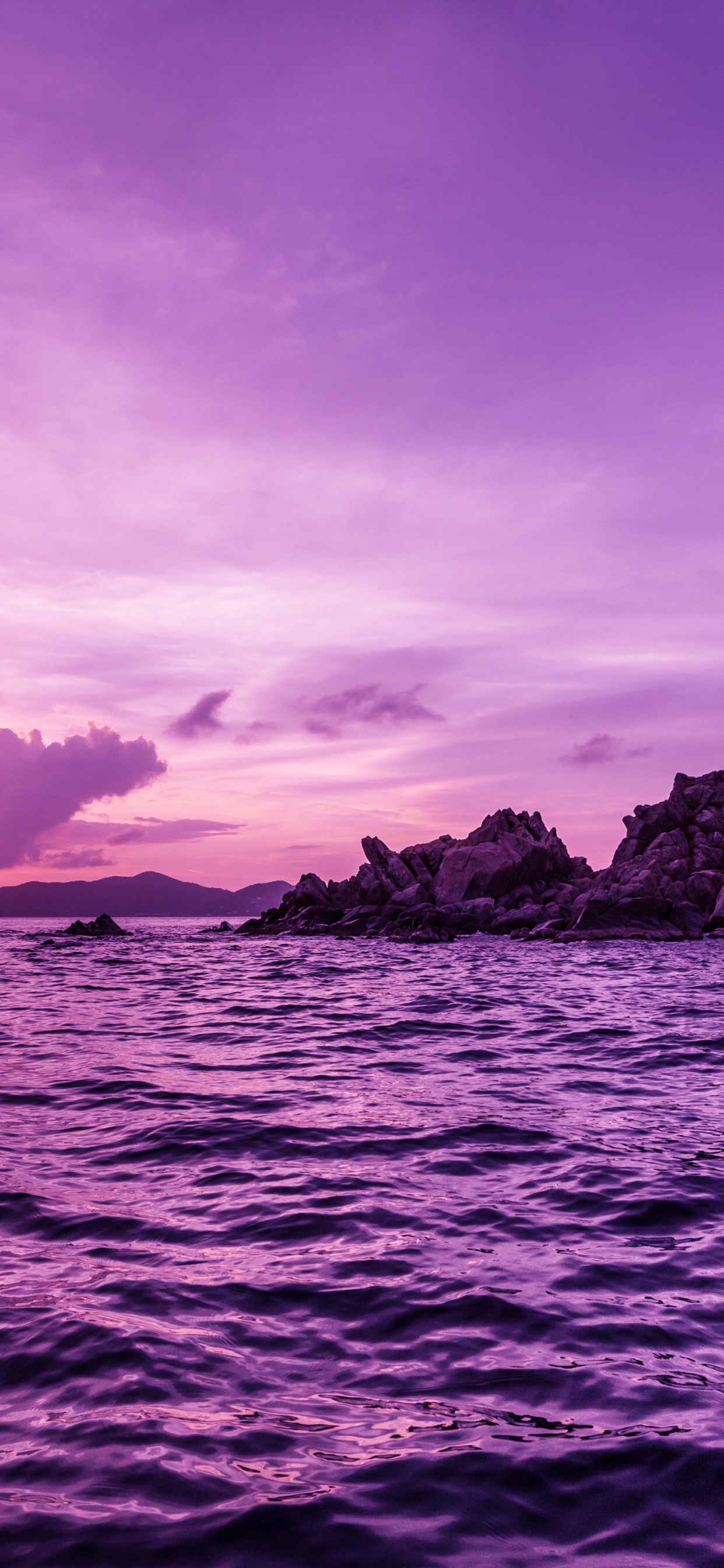 Morado, Hermosa, Rosa, Belleza, Agua. Wallpaper in 1242x2688 Resolution