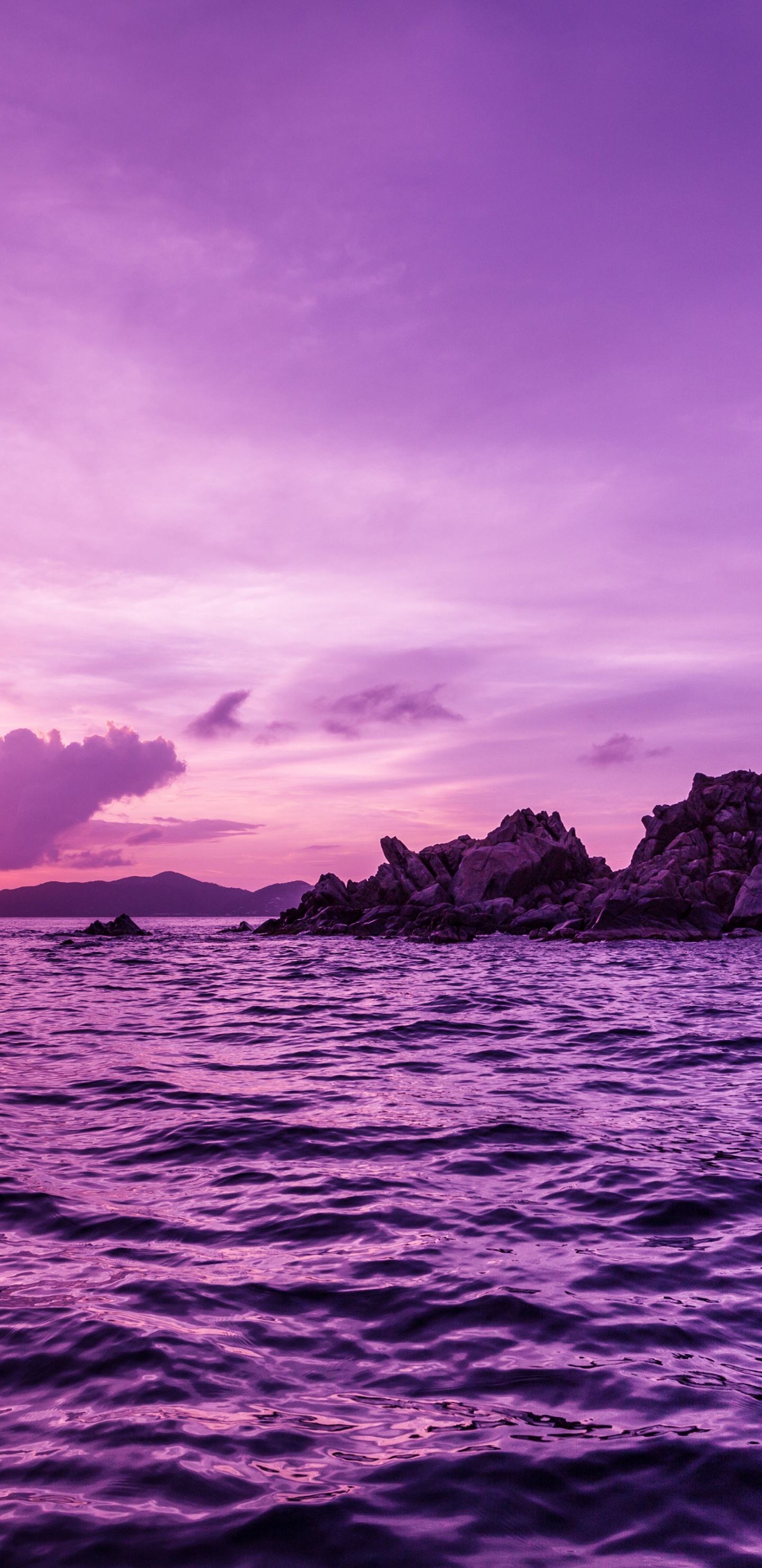 Morado, Hermosa, Rosa, Belleza, Agua. Wallpaper in 1440x2960 Resolution