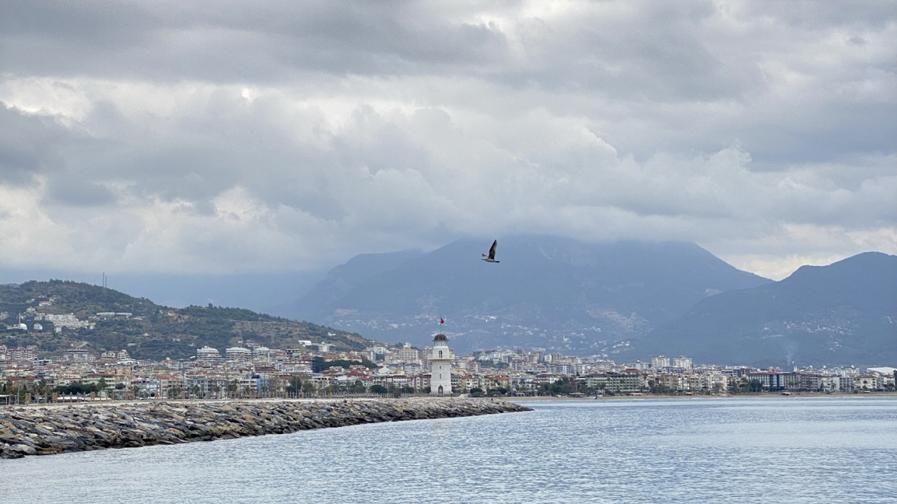 Parc de Campagne de Plover Cove, Les Ressources en Eau, Eau, Lac, Highland. Wallpaper in 1280x720 Resolution