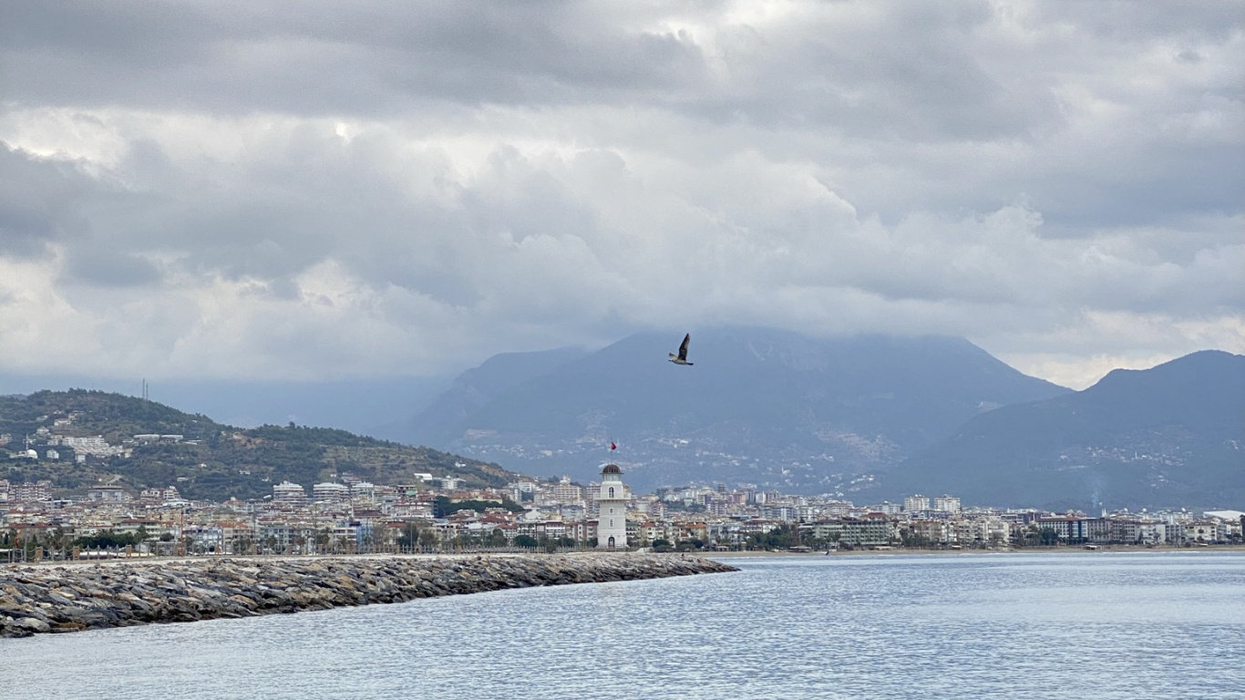 Parc de Campagne de Plover Cove, Les Ressources en Eau, Eau, Lac, Highland. Wallpaper in 1366x768 Resolution