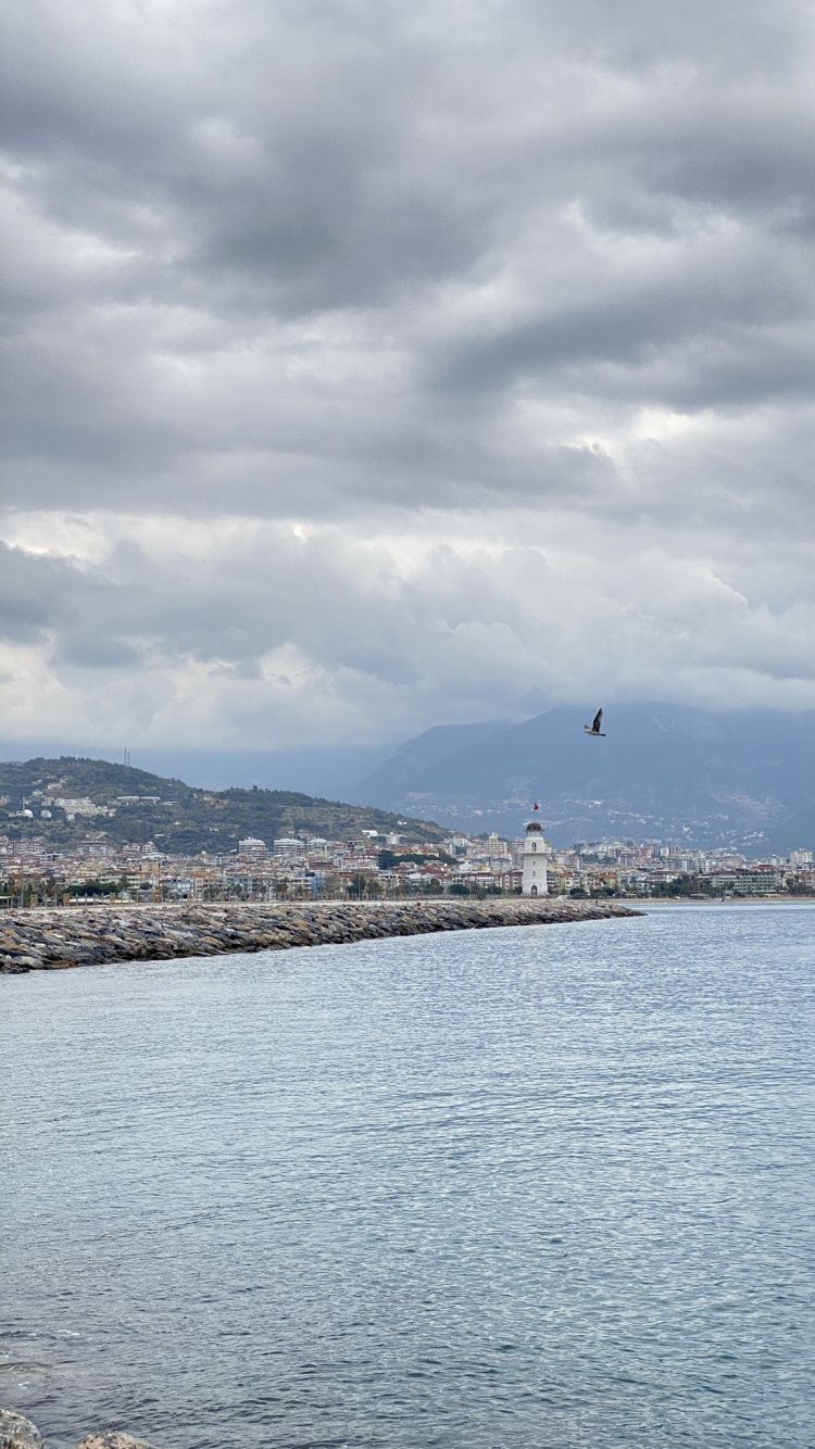 Parc de Campagne de Plover Cove, Les Ressources en Eau, Eau, Lac, Highland. Wallpaper in 750x1334 Resolution