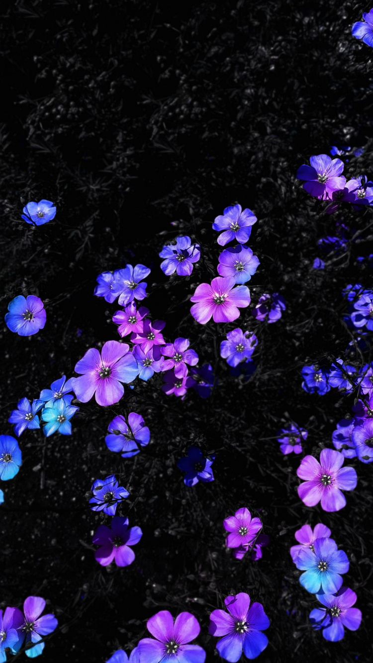 Flore, Nobi Nobita, Shizuka Minamoto, Pétale, Purple. Wallpaper in 750x1334 Resolution