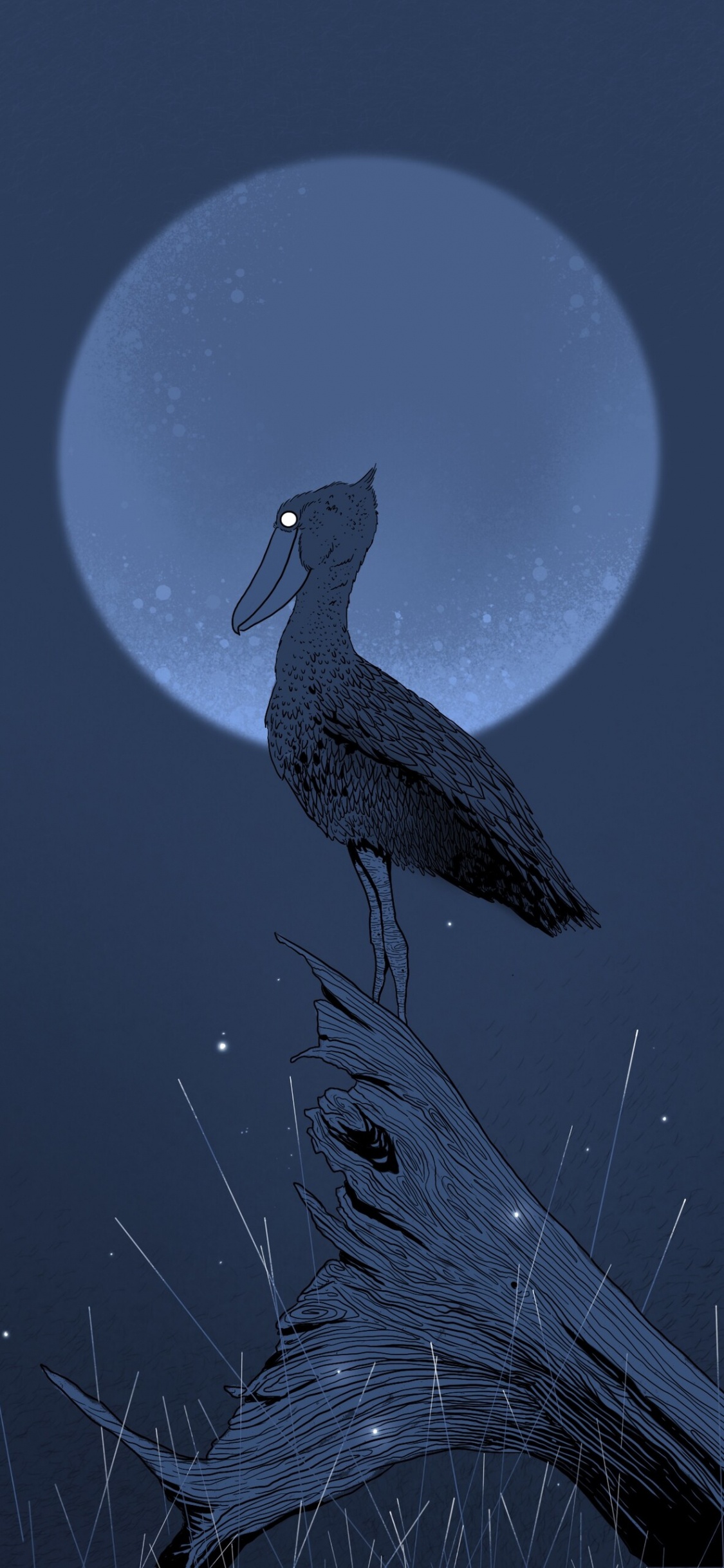 Ilustración de Pájaro Blanco y Negro. Wallpaper in 1125x2436 Resolution