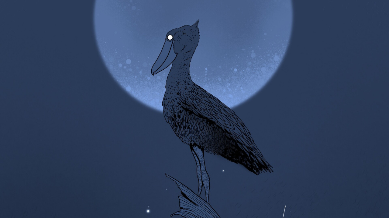 Ilustración de Pájaro Blanco y Negro. Wallpaper in 1280x720 Resolution