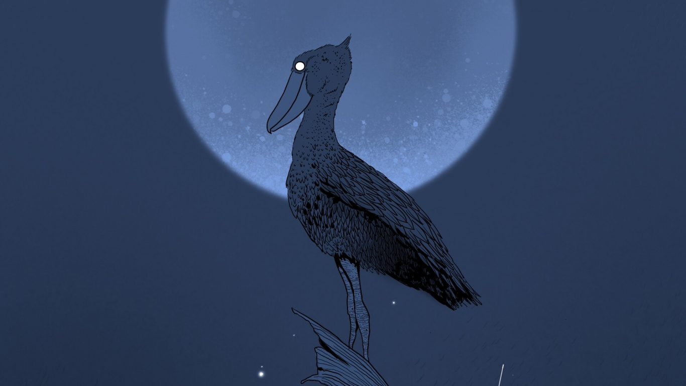 Illustration D'oiseau Noir et Blanc. Wallpaper in 1366x768 Resolution