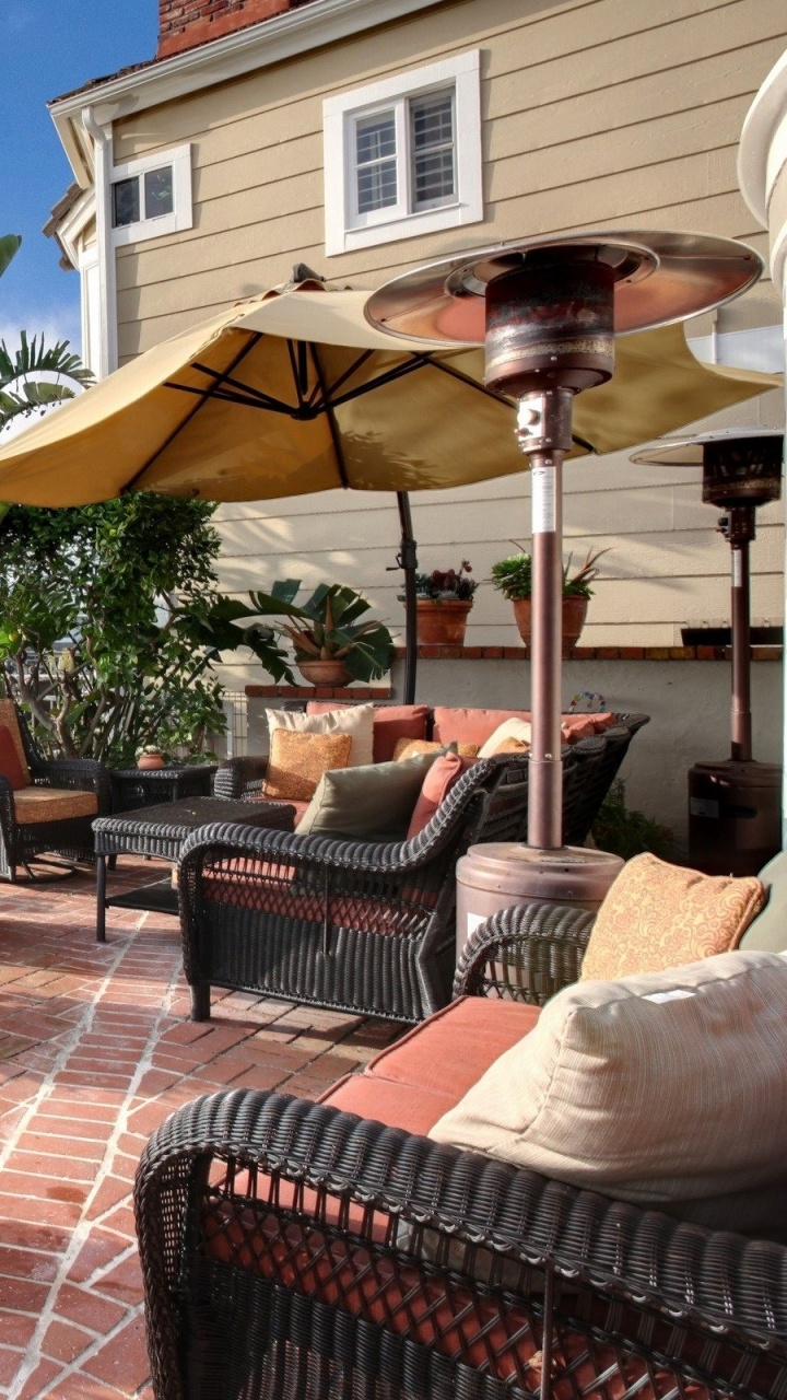 Grüne Topfpflanze Auf Braunem Holztisch. Wallpaper in 720x1280 Resolution