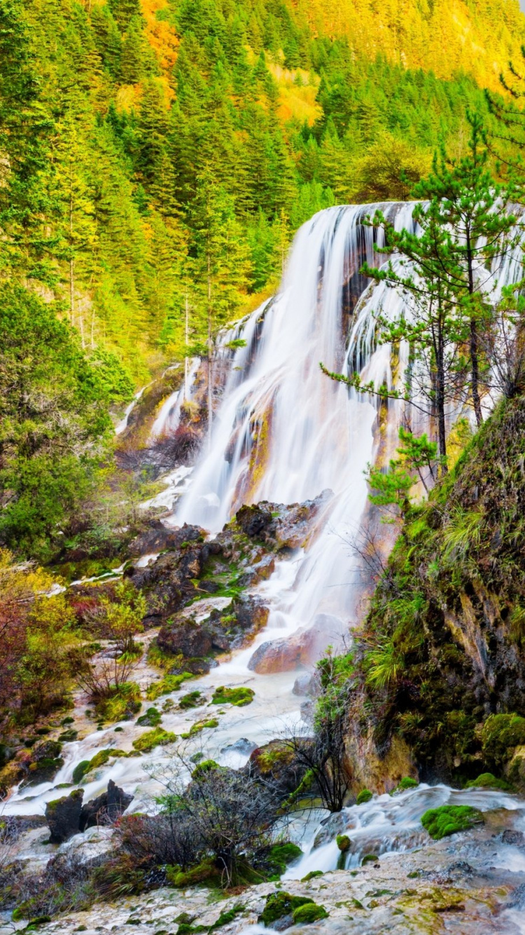 Waterfalls in The Middle of The Forest. Wallpaper in 750x1334 Resolution