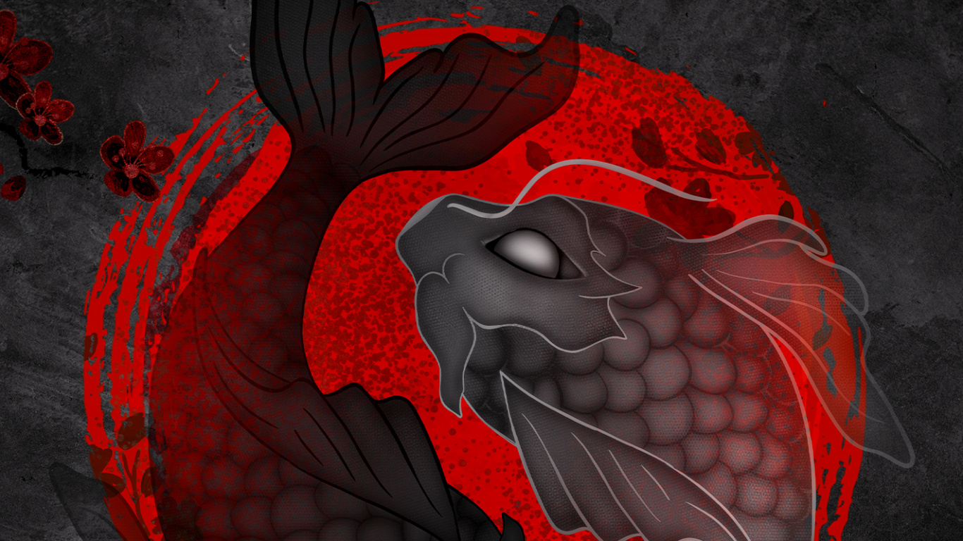 Koi Yin Yang, Koi, Poisson, le Yin et le Yang, Poisson Yin Yang. Wallpaper in 1366x768 Resolution