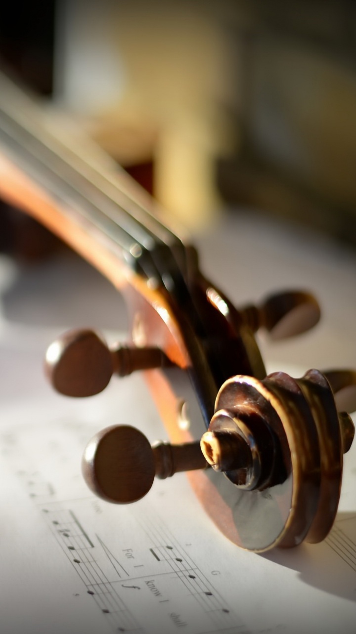 Cello, Klassische Musik, Musikalische Note, Violine Familie, Streichinstrument. Wallpaper in 720x1280 Resolution