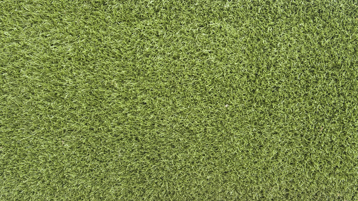 Campo de Hierba Verde Durante el Día. Wallpaper in 1366x768 Resolution