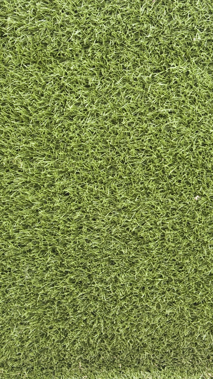 Campo de Hierba Verde Durante el Día. Wallpaper in 720x1280 Resolution