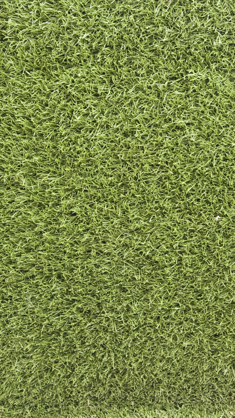 Champ D'herbe Verte Pendant la Journée. Wallpaper in 750x1334 Resolution