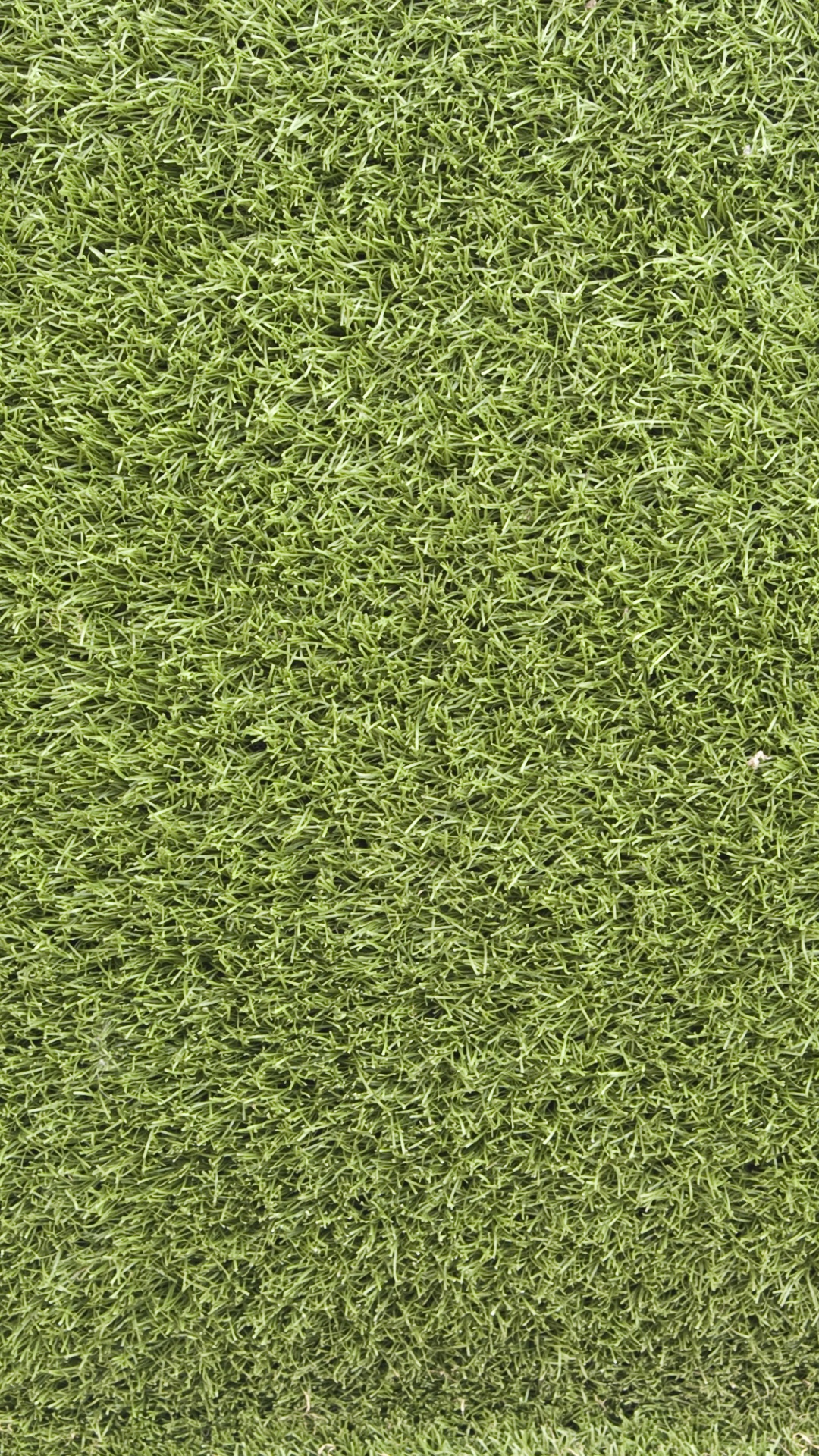 Tagsüber Grüne Wiese. Wallpaper in 1080x1920 Resolution