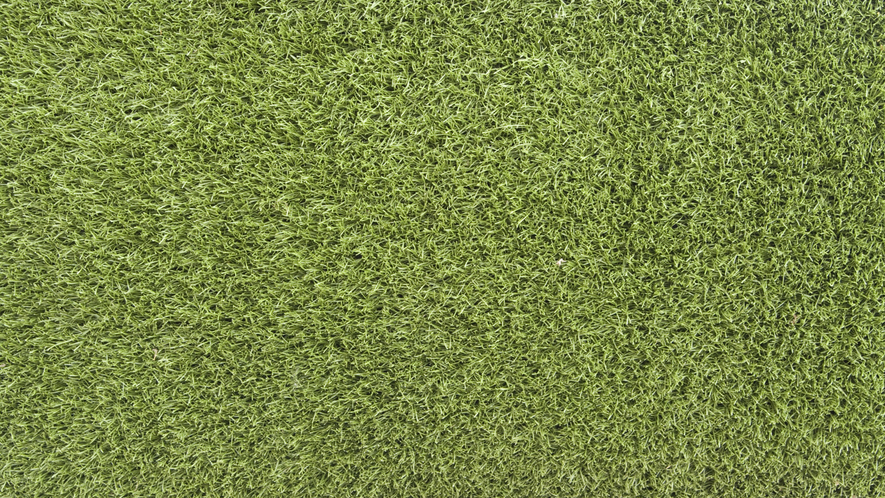 Tagsüber Grüne Wiese. Wallpaper in 1280x720 Resolution