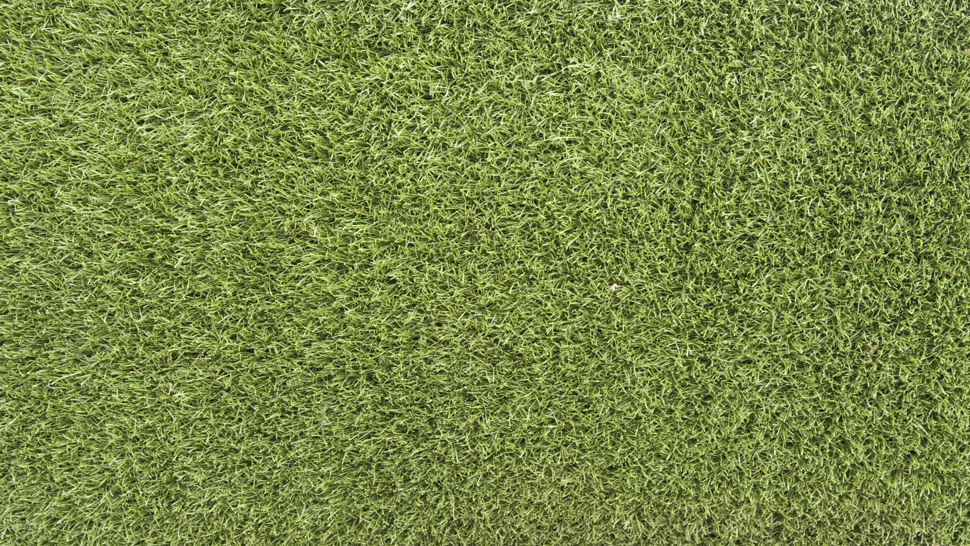 Tagsüber Grüne Wiese. Wallpaper in 1920x1080 Resolution