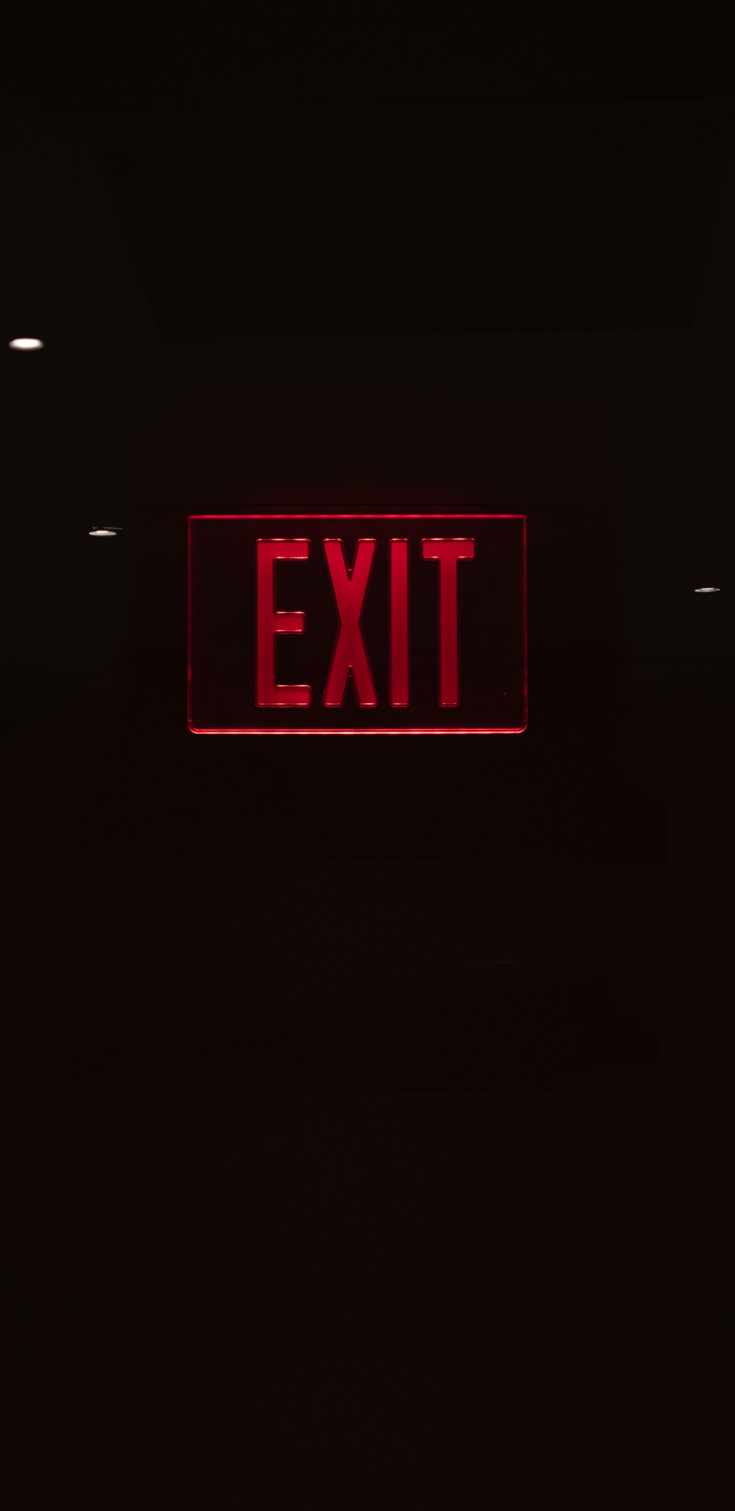 Signe x Rouge et Blanc. Wallpaper in 1440x2960 Resolution