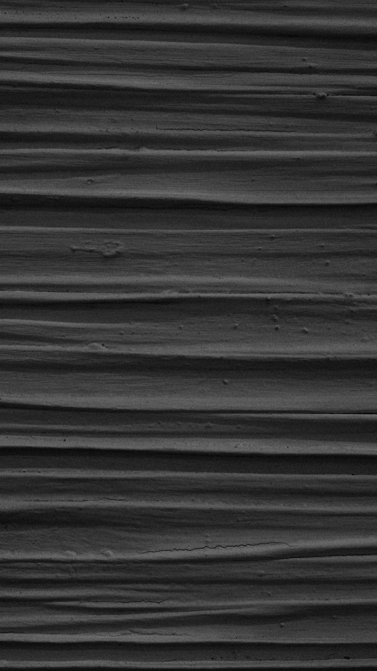 Photo en Niveaux de Gris D'un Plan D'eau. Wallpaper in 750x1334 Resolution