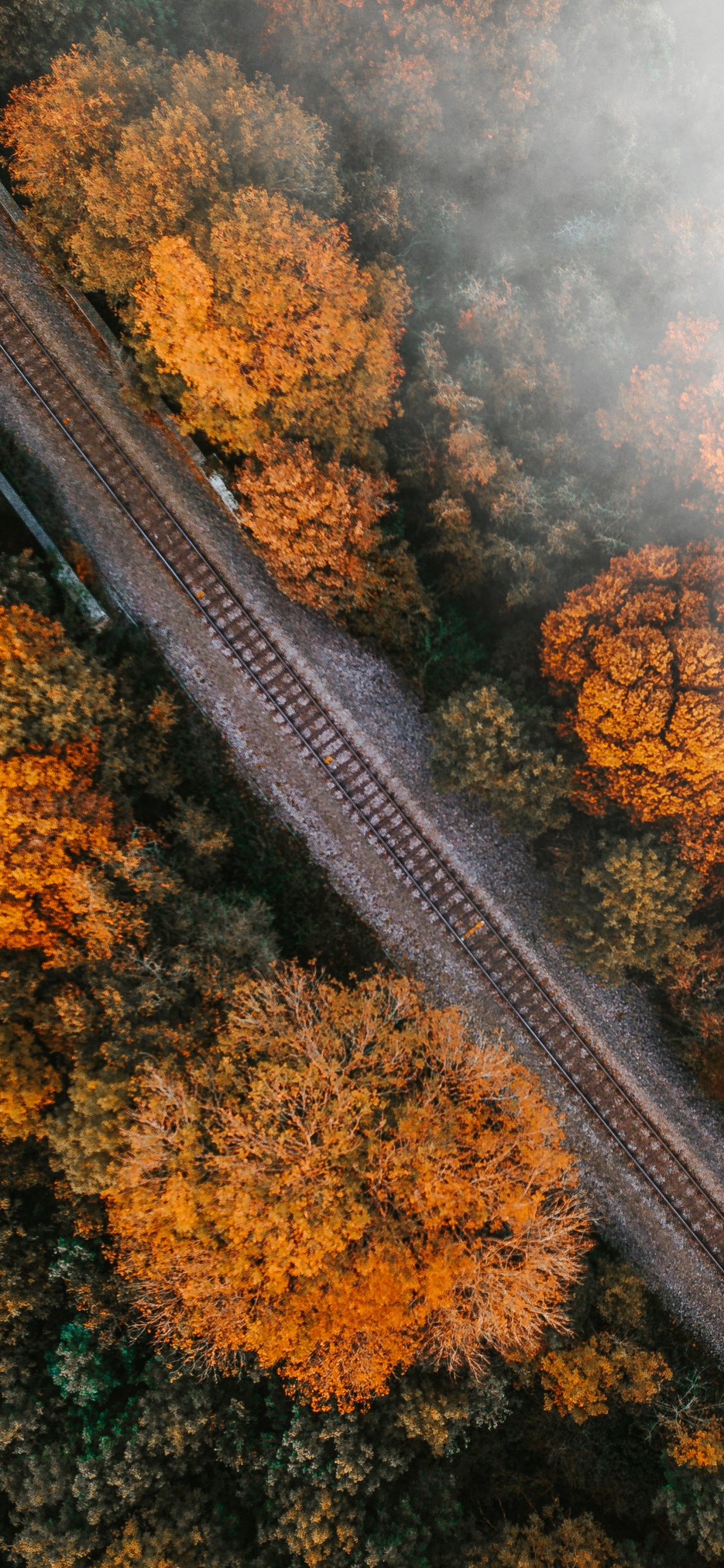 Naturaleza, Rust, el Transporte Ferroviario, Ferrocarril. Wallpaper in 1125x2436 Resolution