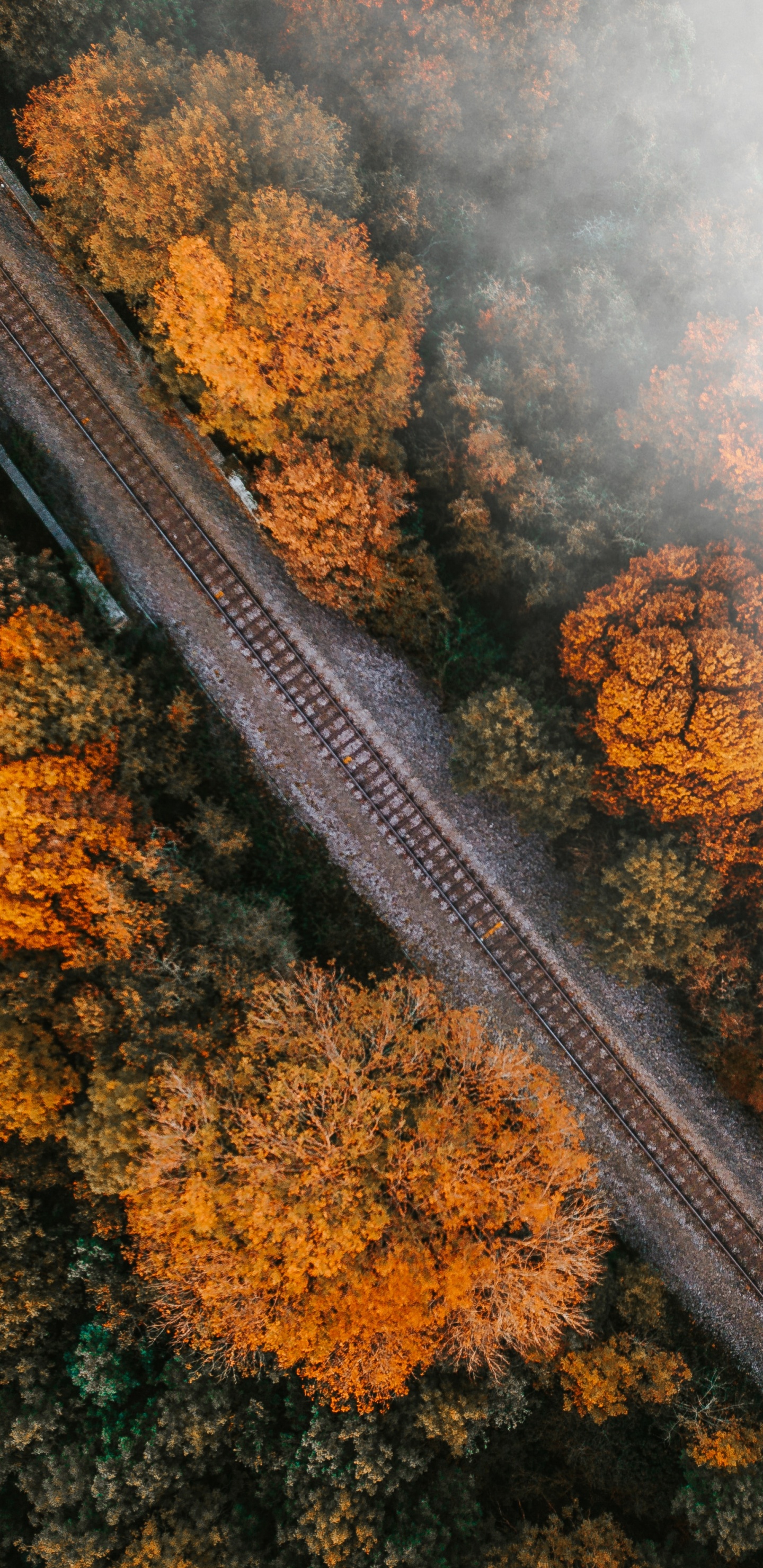 Naturaleza, Rust, el Transporte Ferroviario, Ferrocarril. Wallpaper in 1440x2960 Resolution