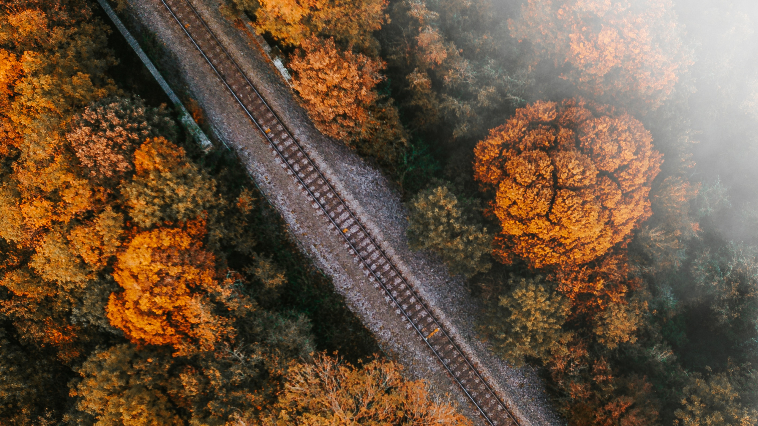 Naturaleza, Rust, el Transporte Ferroviario, Ferrocarril. Wallpaper in 2560x1440 Resolution
