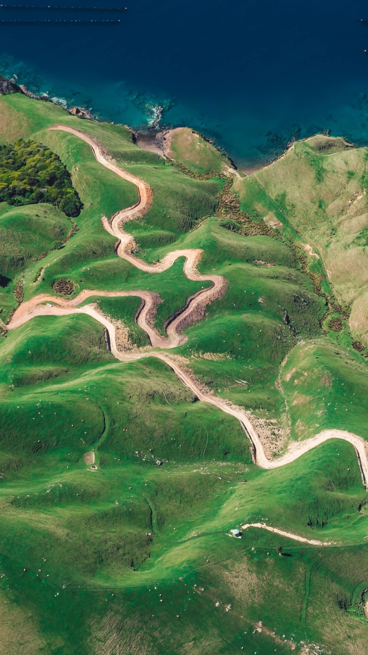 d Urville Island Neuseeland, te Ika-a-mui Nordinsel, Wasser, Ökoregion, Natur. Wallpaper in 720x1280 Resolution