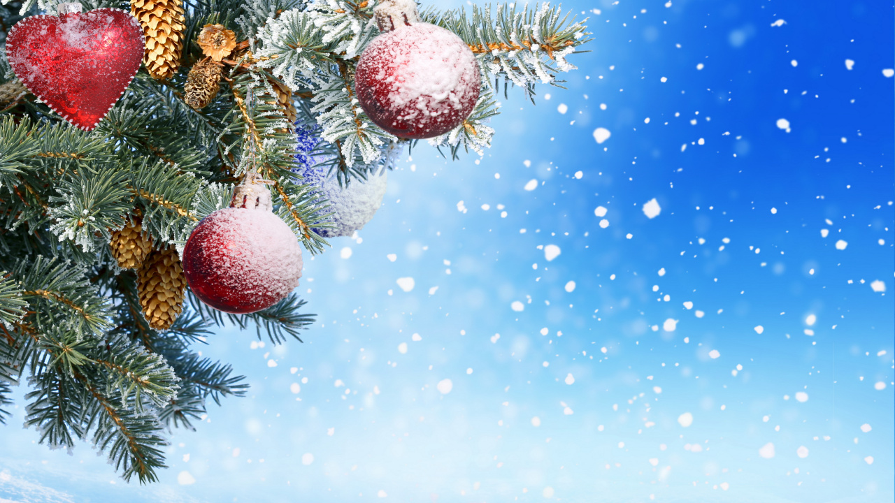 New Year, Christmas Day, Christmas Ornament, Tree, Fir. Wallpaper in 1280x720 Resolution