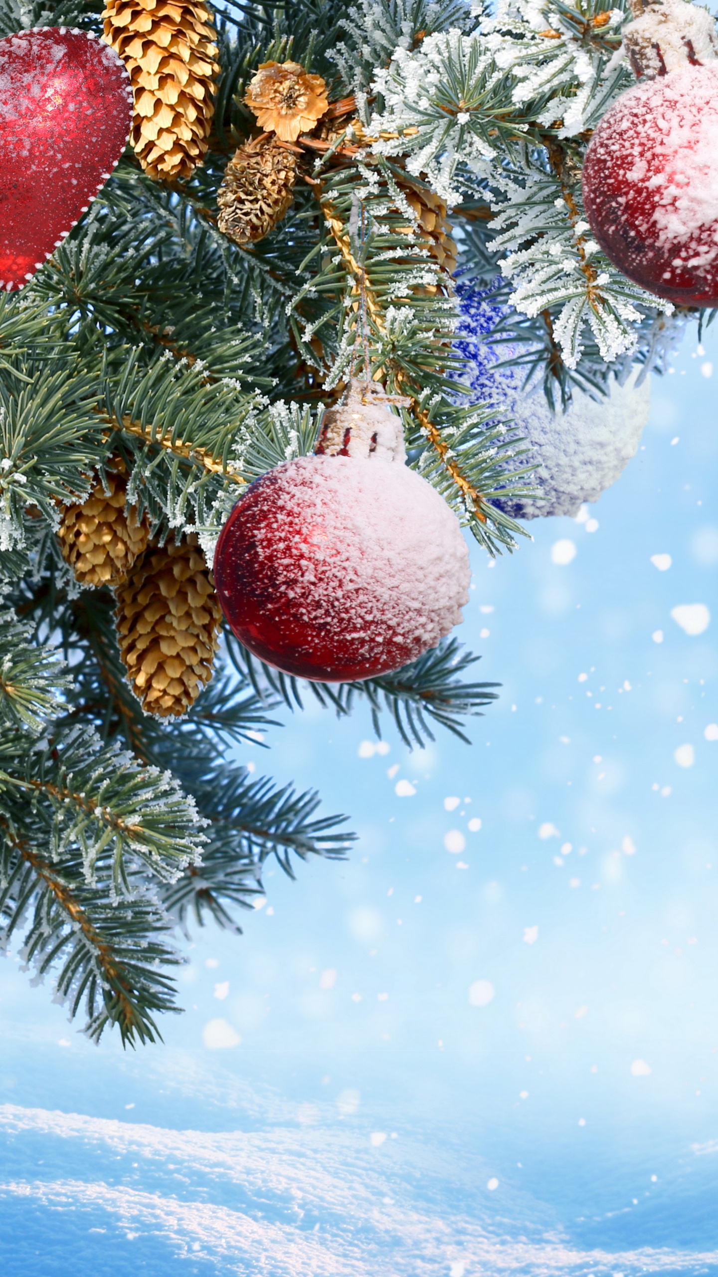 New Year, Christmas Day, Christmas Ornament, Tree, Fir. Wallpaper in 1440x2560 Resolution
