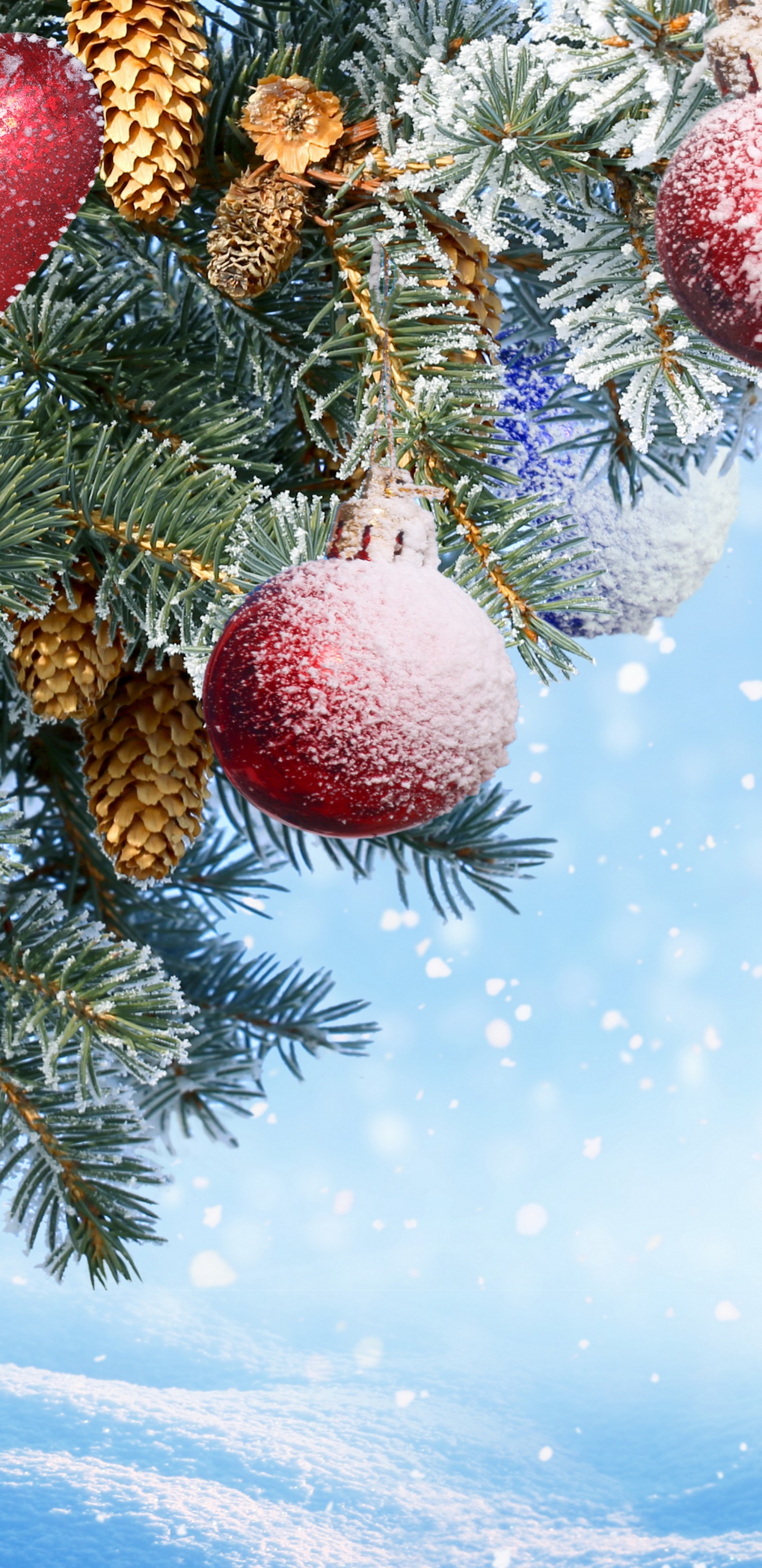 New Year, Christmas Day, Christmas Ornament, Tree, Fir. Wallpaper in 1440x2960 Resolution