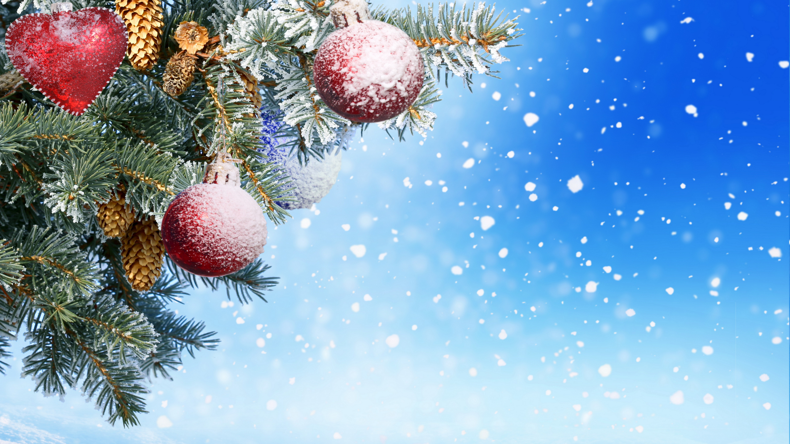 New Year, Christmas Day, Christmas Ornament, Tree, Fir. Wallpaper in 2560x1440 Resolution