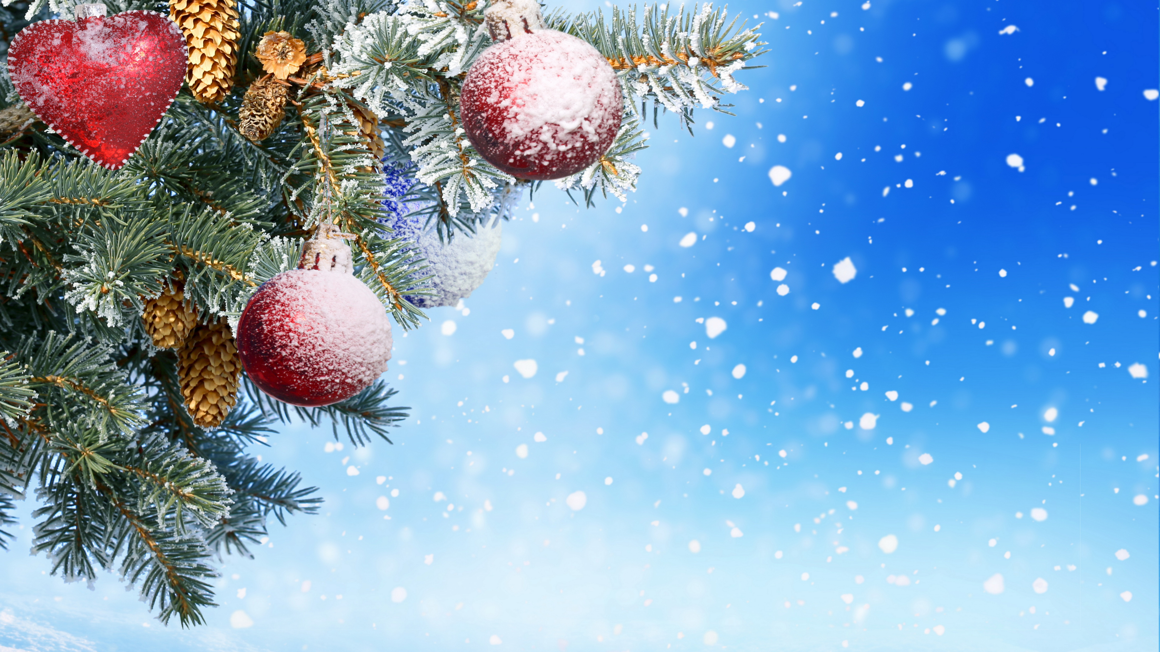 New Year, Christmas Day, Christmas Ornament, Tree, Fir. Wallpaper in 3840x2160 Resolution