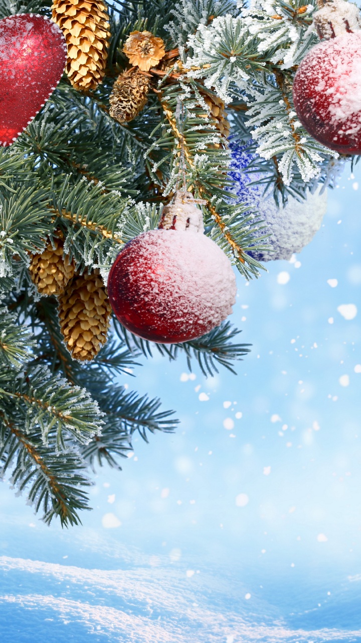 New Year, Christmas Day, Christmas Ornament, Tree, Fir. Wallpaper in 720x1280 Resolution