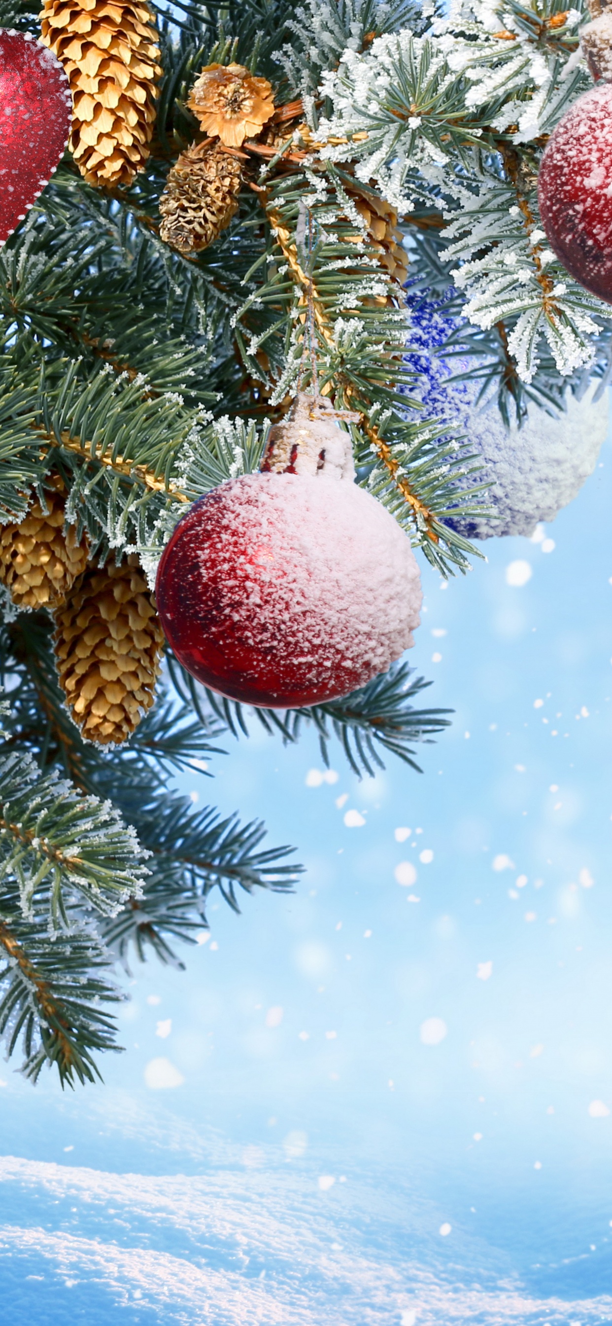 Neujahr, Weihnachten, Christmas Ornament, Baum, Fir. Wallpaper in 1242x2688 Resolution