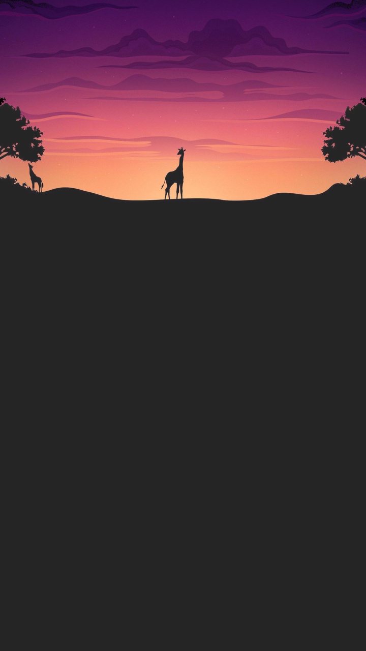 Cloud, Atmosphäre, Ökoregion, Naturlandschaft, Branch. Wallpaper in 720x1280 Resolution