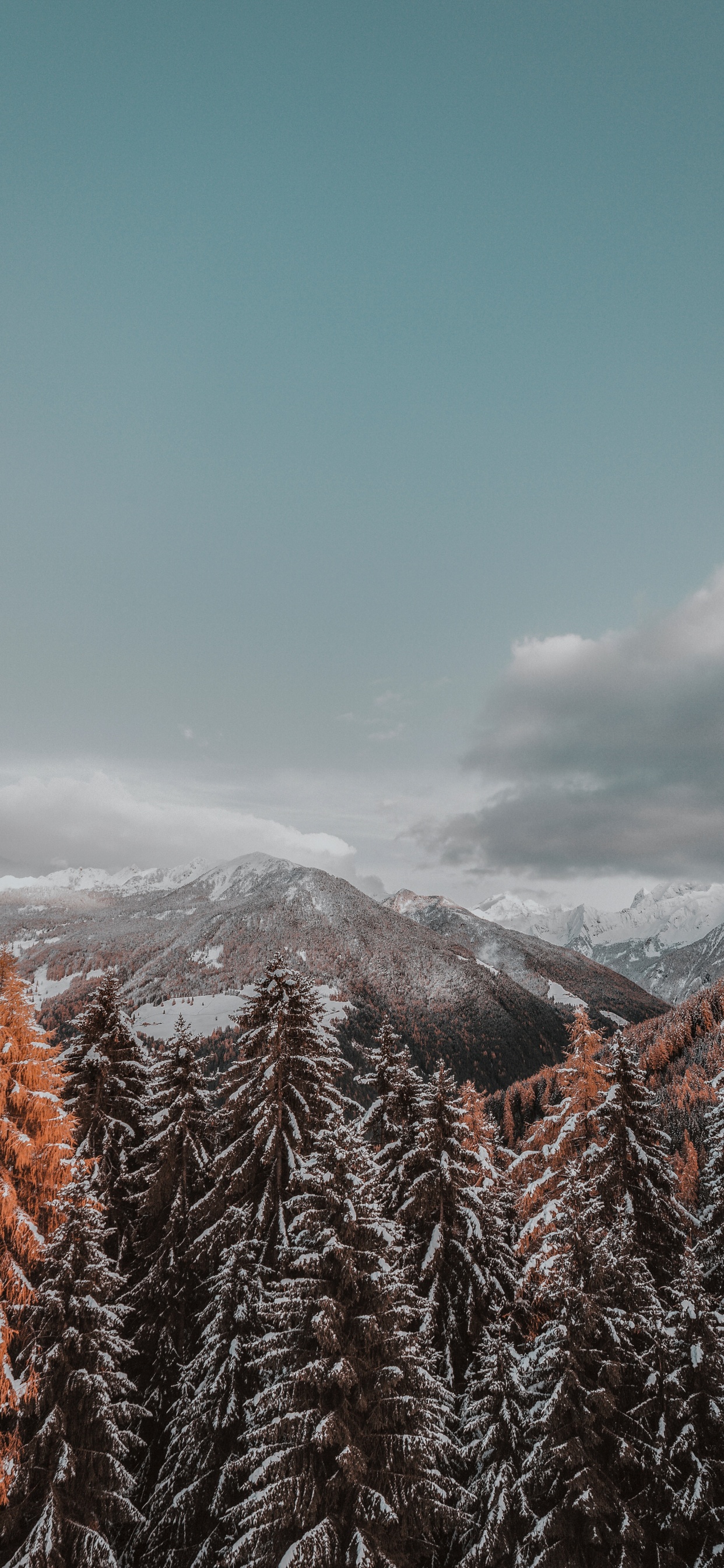 Winter, Schnee, Baum, Bergigen Landschaftsformen, Naturlandschaft. Wallpaper in 1242x2688 Resolution