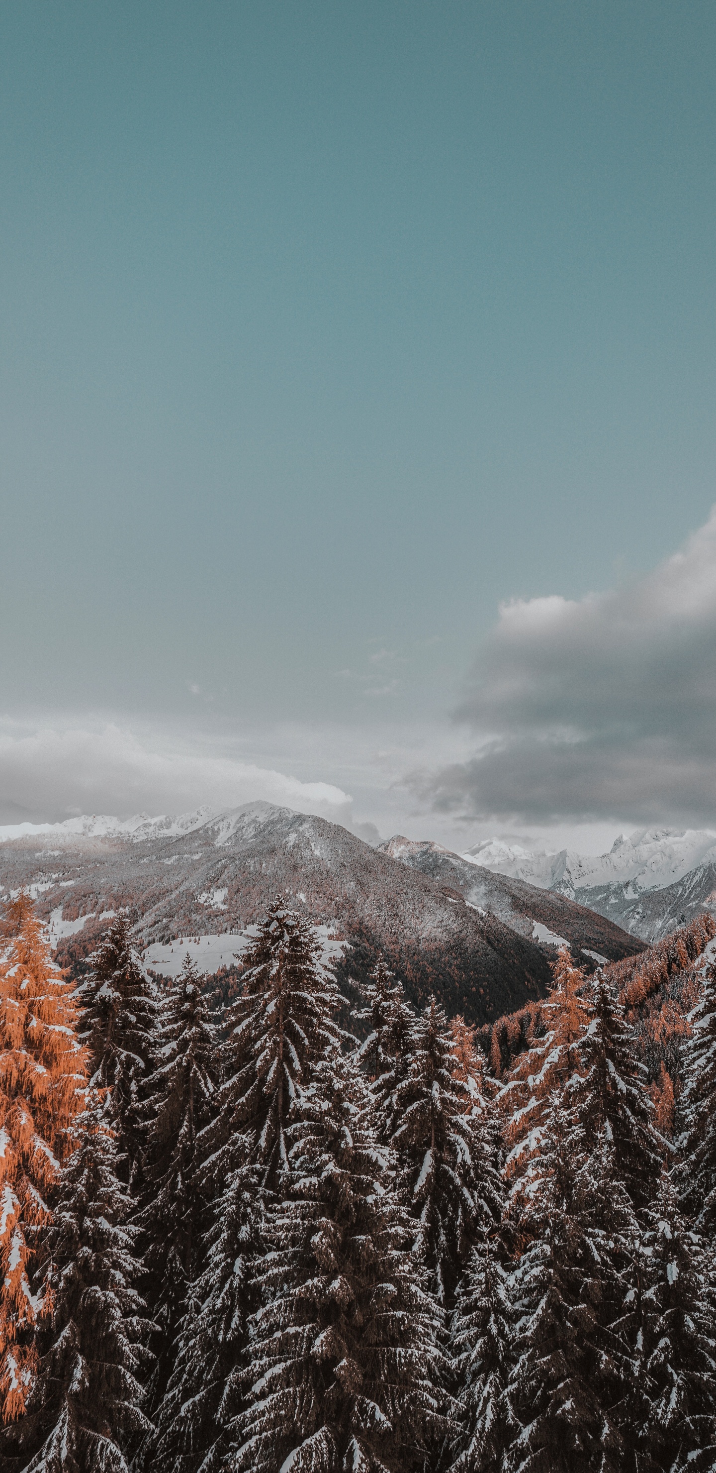 Winter, Schnee, Baum, Bergigen Landschaftsformen, Naturlandschaft. Wallpaper in 1440x2960 Resolution