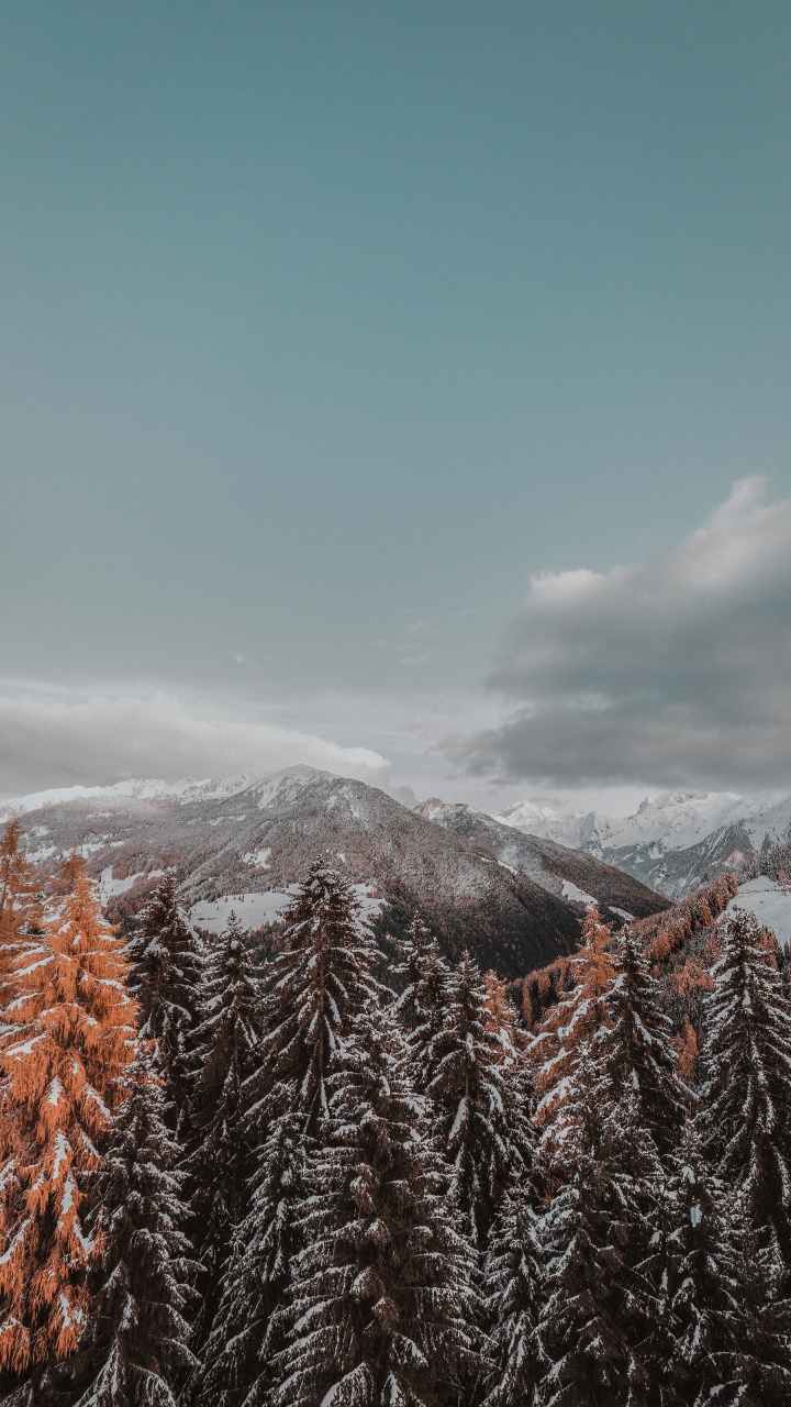 Winter, Schnee, Baum, Bergigen Landschaftsformen, Naturlandschaft. Wallpaper in 720x1280 Resolution