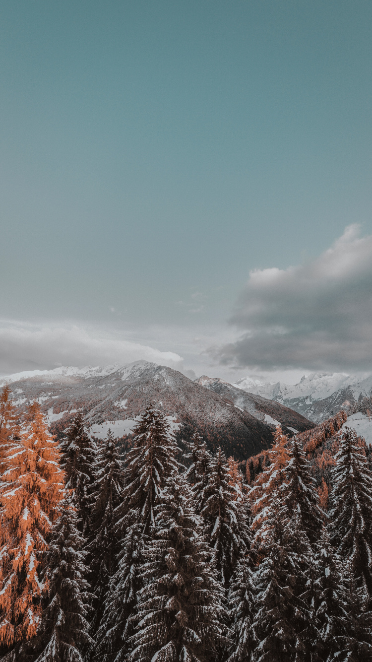 Winter, Schnee, Baum, Bergigen Landschaftsformen, Naturlandschaft. Wallpaper in 750x1334 Resolution