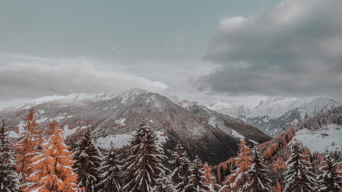 Winter, Snow, Tree, Mountain, Mountainous Landforms. Wallpaper in 1366x768 Resolution