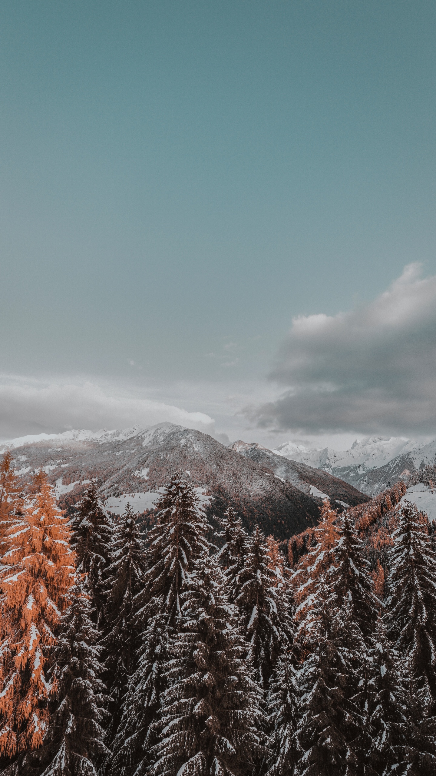 Winter, Snow, Tree, Mountain, Mountainous Landforms. Wallpaper in 1440x2560 Resolution