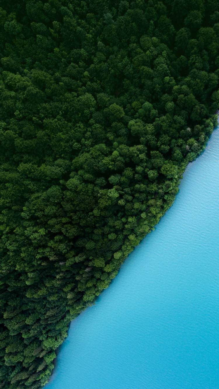 OPPO, Oppo Realme, Oppo F7, Oppo R15, Smartphone. Wallpaper in 750x1334 Resolution